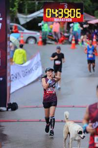 BIB: 043906, 7052
                            <button type="button" onclick="openModal(5745810)" class="btn btn-primary btn-sm float-right btn-popup" data-toggle="modal" data-target=".modal-high-quality">
                        <i class="fas fa-shopping-cart"></i> Add to Cart
                    </button>
                                            <button type="button" onclick="isThisMe(5745810, true)" class="btn btn-success btn-sm float-right btn-popup btn-isme hidden" data-toggle="tooltip" data-placement="bottom" title="นี่คือรูปของคุณใช่ไหม คลิกที่นี่เพื่อเอาเข้าอัลบั้ม">
                        <i class="fas fa-plus"></i> Add to album
                    </button>
                    <button type="button" onclick="isThisMe(5745810, false)" class="btn btn-warning btn-sm float-right btn-popup btn-isnotme hidden">
                        <i class="fas fa-ban"></i> Remove from album
                    </button>